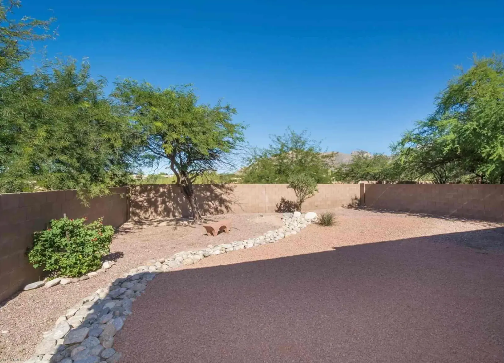The Lomas — Backyard